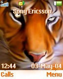 Тема для Sony Ericsson W300i - Tiger