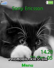 Тема для Sony Ericsson 240x320 - Pretty Kitty