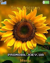Тема для Sony Ericsson 240x320 - Sunflower