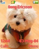 Тема для Sony Ericsson 128x160 - Sweet Puppy
