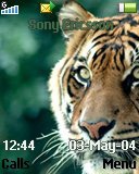 Тема для Sony Ericsson 128x160 - Tiger