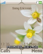 Тема для Sony Ericsson 176x220 - Spring