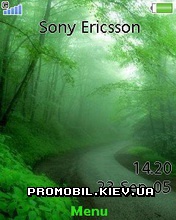 Тема для Sony Ericsson 240x320 - Lonely Road