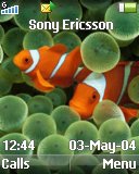 Тема для Sony Ericsson 128x160 - Clown Fishes