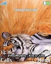 Тема для Sony Ericsson 176x220 - Tiger orange