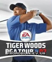     07 [Tiger Woods PGA TOUR 07]
