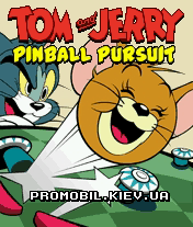   :  [Tom And Jerry Pinball Pursuit]