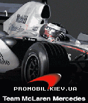     [Team McLaren Mercedes]