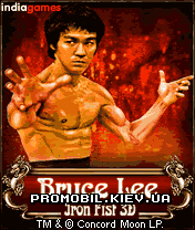 :   3D [Bruce Lee Iron Fist 3D]