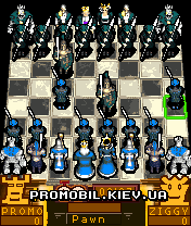  [3D Battle Chess]