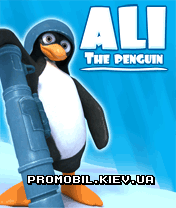   [Ali The Penguin]