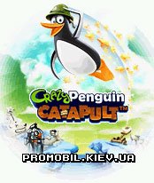   [Crazy Penguin]
