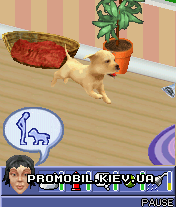  2:  [The Sims 2: Pets]