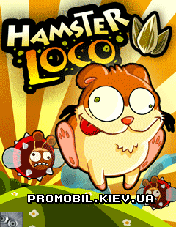   [Hamster Loco]
