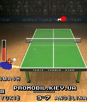    [Table Tennis Star]