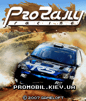     3D [Pro Rally Racing]
