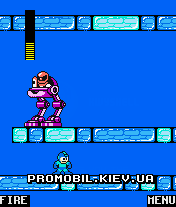   2 [Mega Man 2]