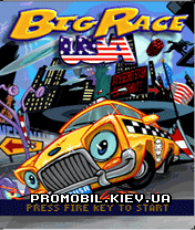  :    [Pro Pinball: Big Race USA]