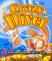   [Crazy Diver]