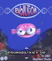  [Evolution]