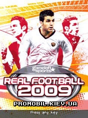   [Real Football 2009]