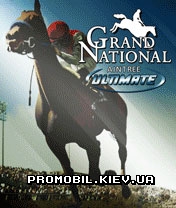   [Grand National Aintree Ultimate]