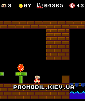   [Super Mario Bross]