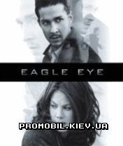   [Eagle Eye]