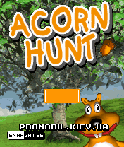    [Acorn Hunt]