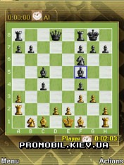   [Chess Online]