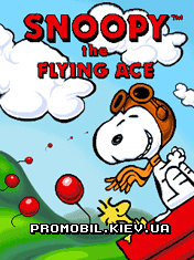  [Snoopy the Flying Ace]