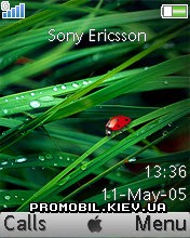   Sony Ericsson 176x220 - Leopard Graphite