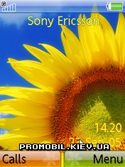   Sony Ericsson 240x320 - 
