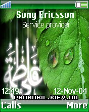   Sony Ericsson 176x220 - Sabzaro