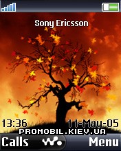   Sony Ericsson 176x220 - Pit-Walk