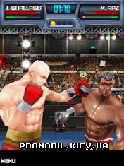   3D [K.O. Fighters 3D]