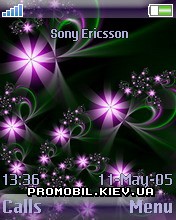   Sony Ericsson 176x220 - Flowers