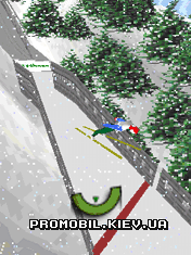   [Ski Jumping 3D]