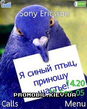   Sony Ericsson 240x320 - Bird