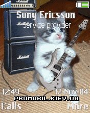   Sony Ericsson 176x220 - Kitten