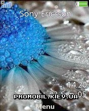   Sony Ericsson 240x320 - Blue Flower