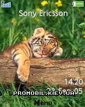   Sony Ericsson 240x320 - Tiger Cub