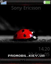   Sony Ericsson 240x320 - Lady Bug