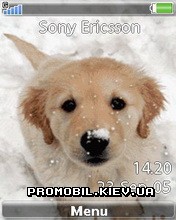   Sony Ericsson 240x320 - Puppy Love
