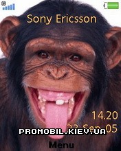   Sony Ericsson 240x320 - Monkey Face