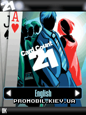  [Card Count 21]