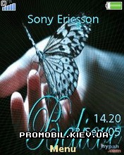   Sony Ericsson 240x320 - Believe