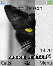   Sony Ericsson 240x320 - Black cat