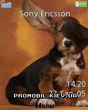   Sony Ericsson 240x320 - Sweet Dogs