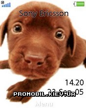   Sony Ericsson 240x320 - Puppy Animated